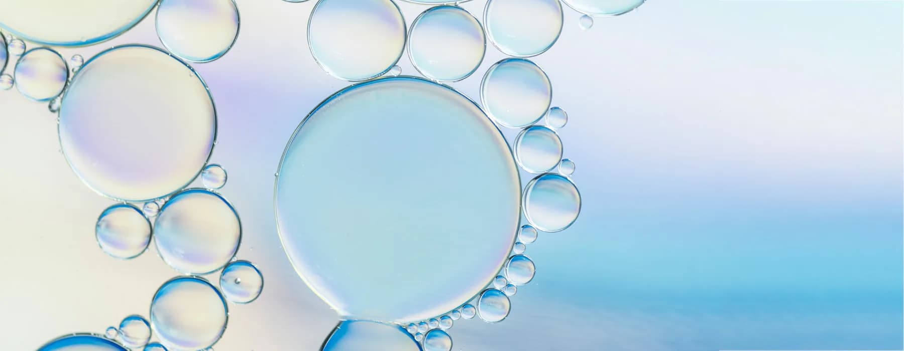 blog image banner