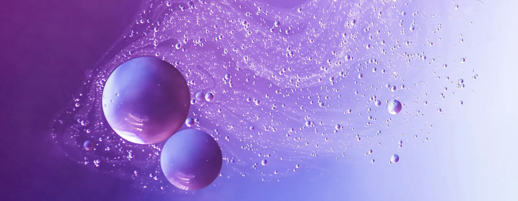 blog image banner