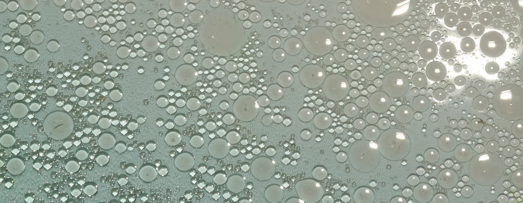 blog image banner